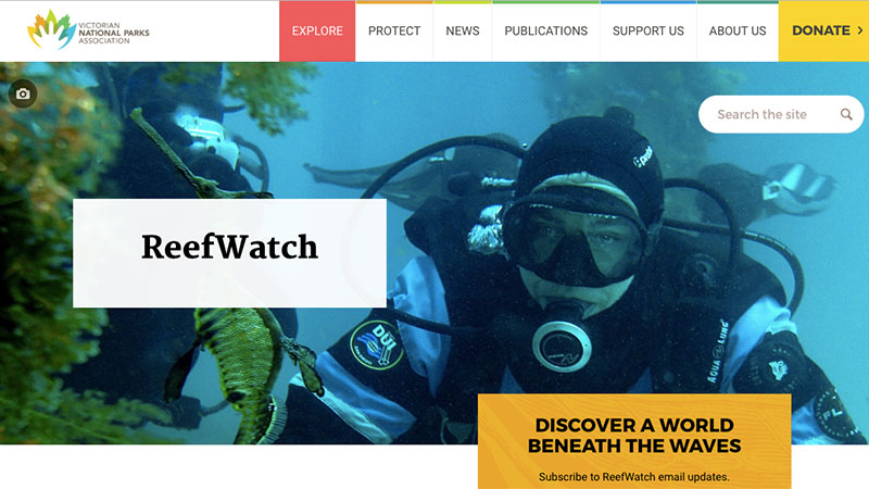 Screenshot of ReefWatch website