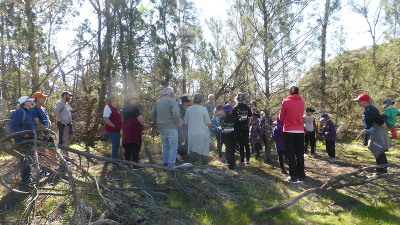 Yaapeet Students And Visitors Explore The Local Bush For Science Week 2018