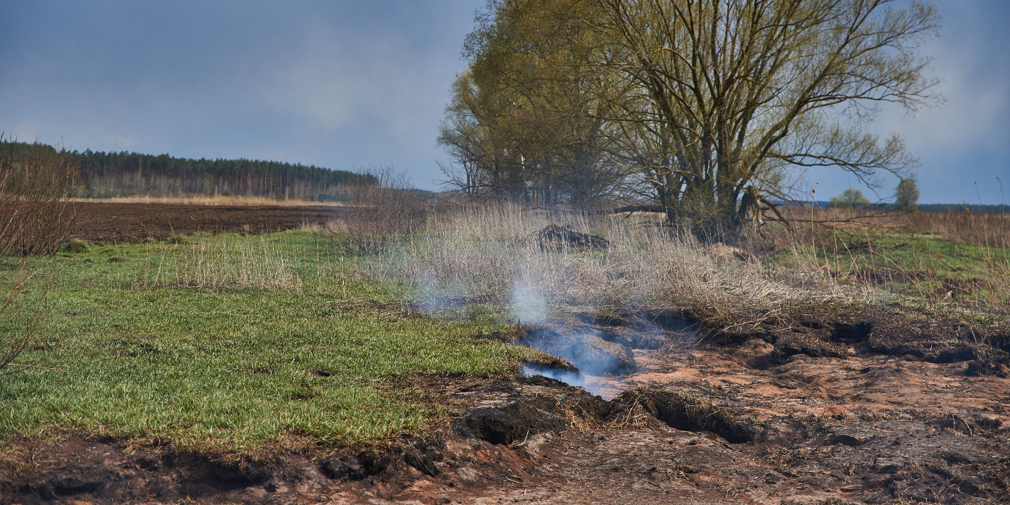 peat burning